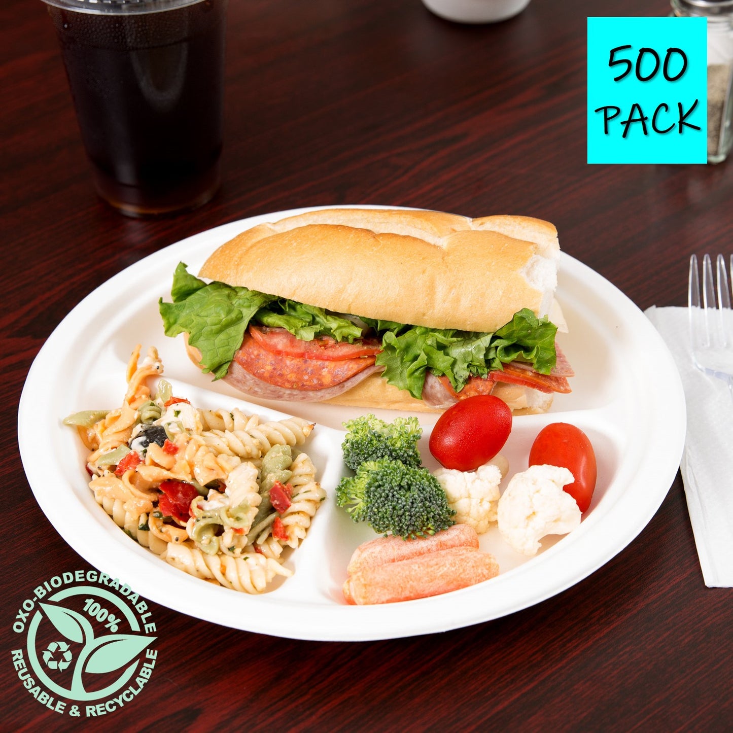 Plate 10" 3 Compartment Bagasse Biodegradable Compostable White 500 Pack